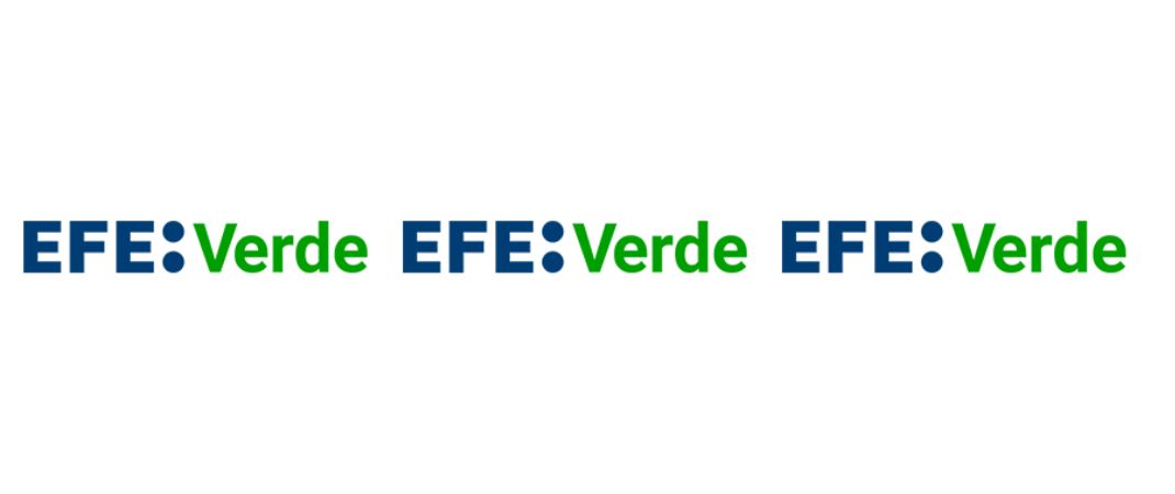 Nueva colaboración con Agencia EFE - EFE verde