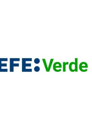 Nueva colaboración con Agencia EFE - EFE verde