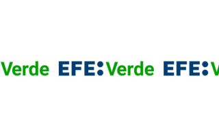 Nueva colaboración con Agencia EFE - EFE verde