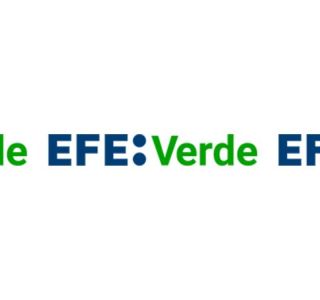 Nueva colaboración con Agencia EFE - EFE verde